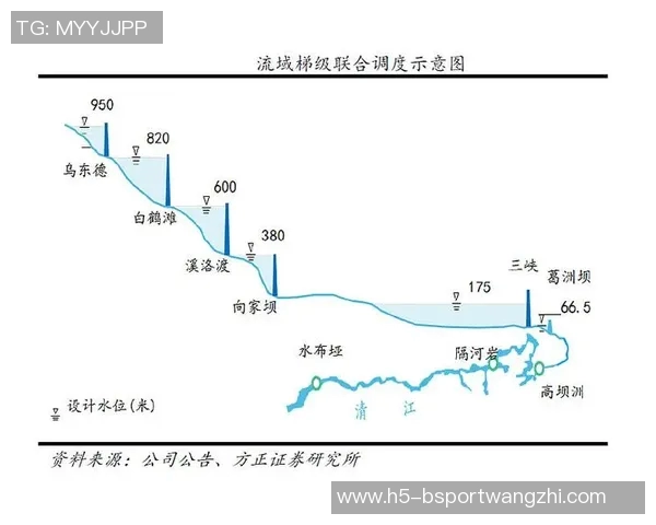 2026年3月份新闻成都乒乓球队转型之路的挑战与机遇全景解析
